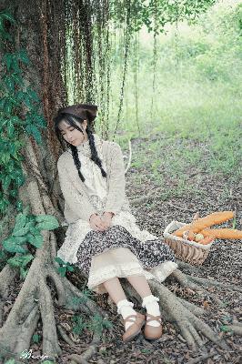 纵有疾风起电视剧免费完整版观看